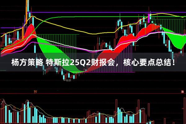 杨方策略 特斯拉25Q2财报会,核心要点总结!