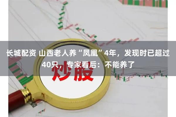 长城配资 山西老人养“凤凰”4年，发现时已超过40只，专家看后：不能养了