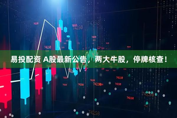 易投配资 A股最新公告，两大牛股，停牌核查！